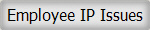 Employee IP Issues