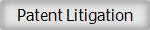 Patent Litigation